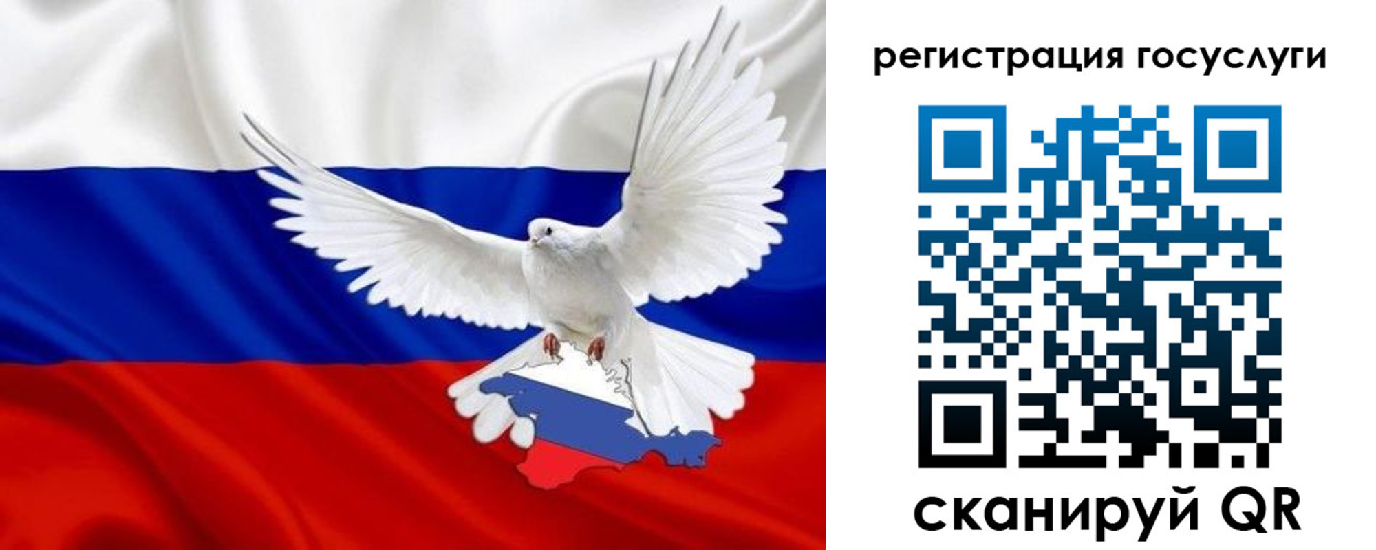 прописка законно в Ершове